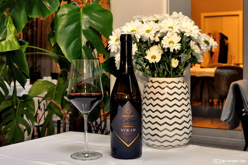 VZ 2023 Vinodol najbolji Syrah