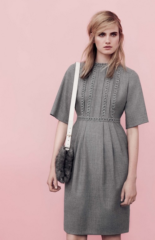 hobbs 146195929094556 cr