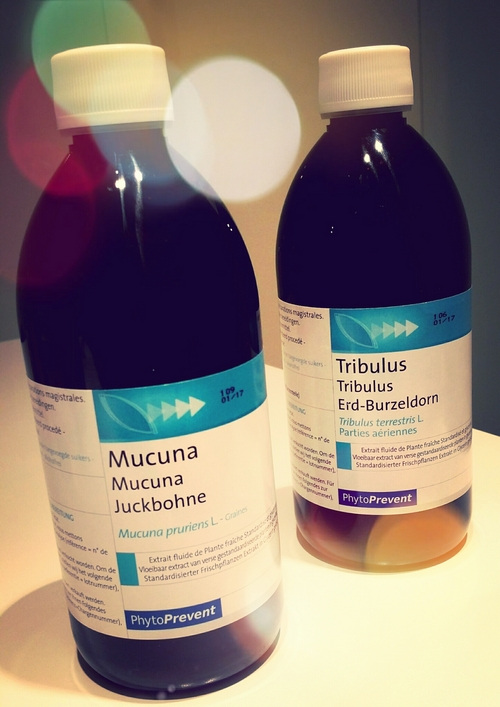 phtogo pms plodnost ciklus 2