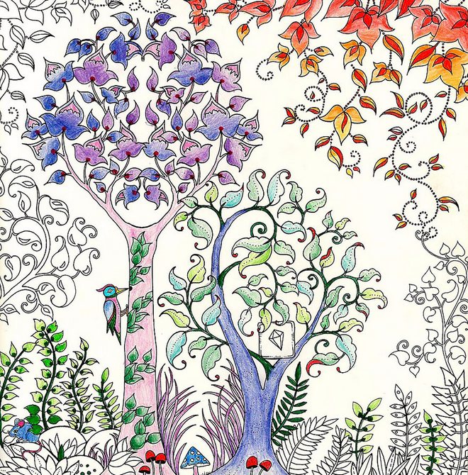 coloring books for adults johanna basford 10 880