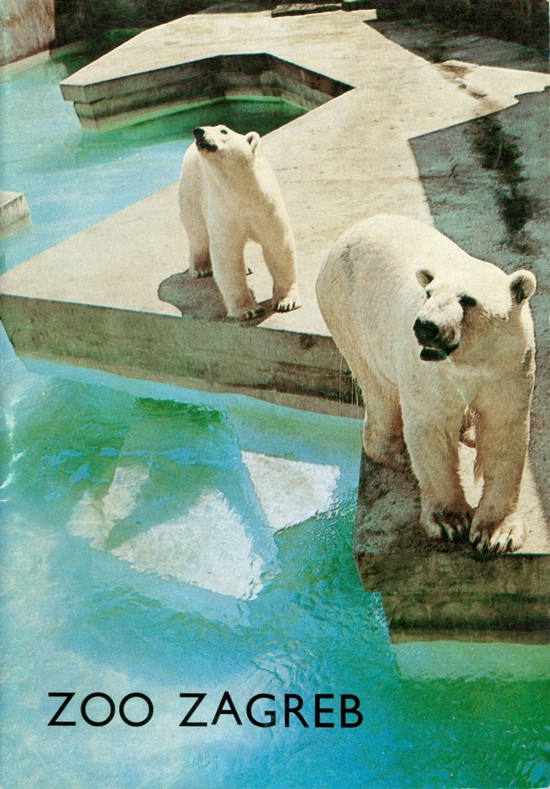 16. Vodic 1967