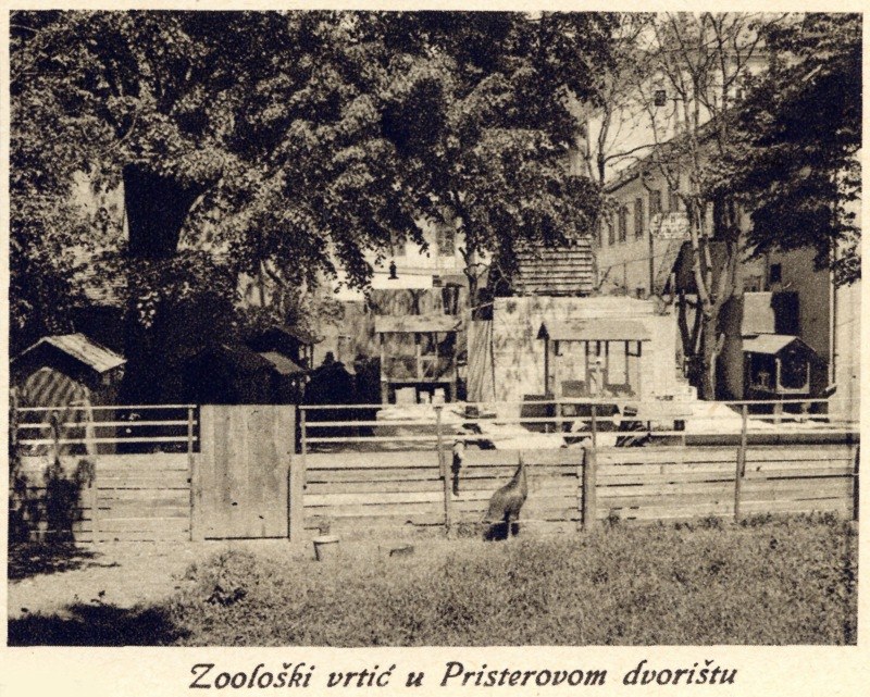 6. Prister