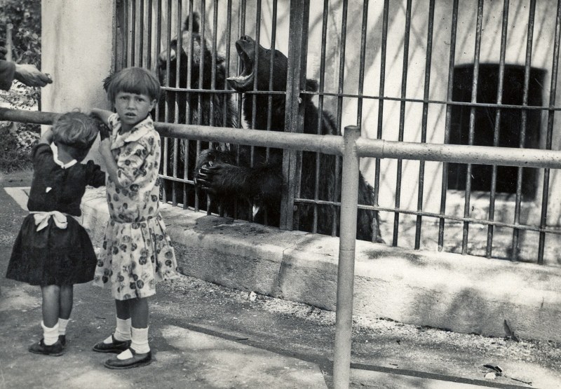 9. Djevojčice i grizli
