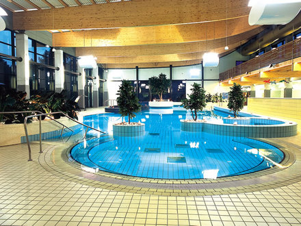 hotel-balnea-terme-dolenjske-toplice-dolenjske-toplice-48049 clientHome