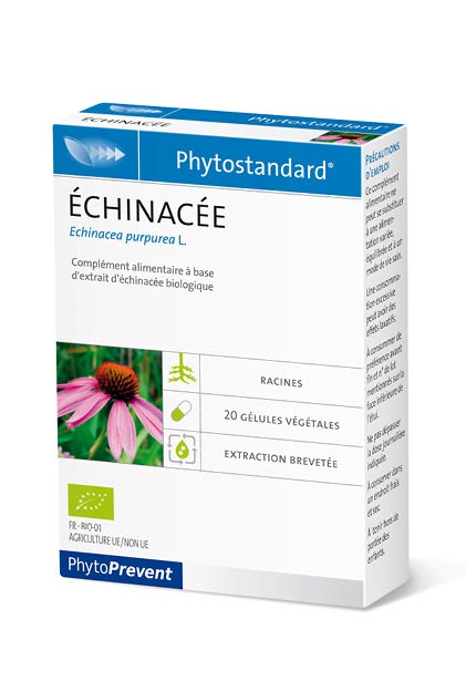 echinacee