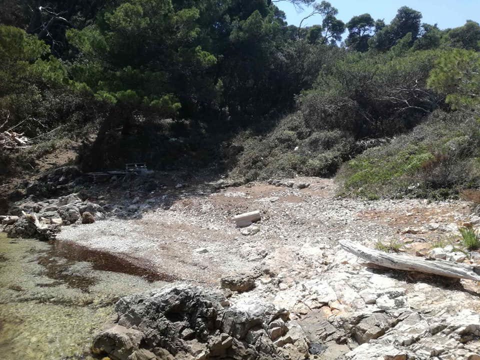 mljet dunja1