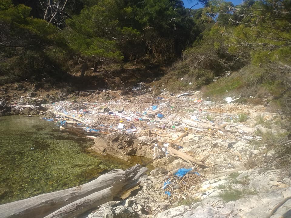 mljet dunja1