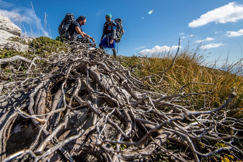 HIGHLANDER EXPERIENCE 11