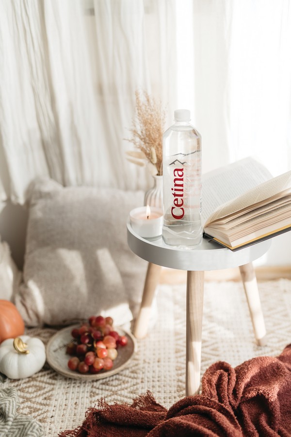 CETINA PR web 2