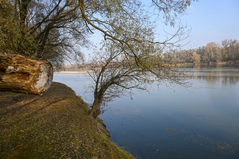 DSC 7680