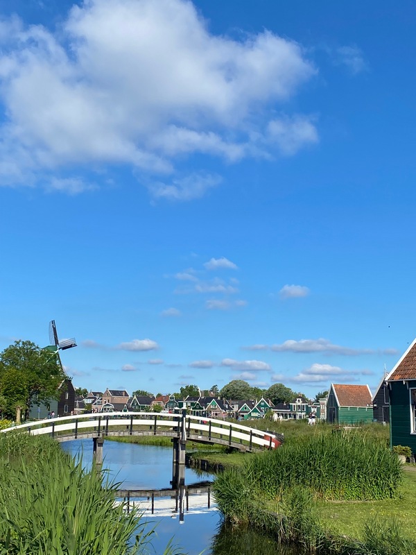 DARIO AMAN AMSTERDAM24