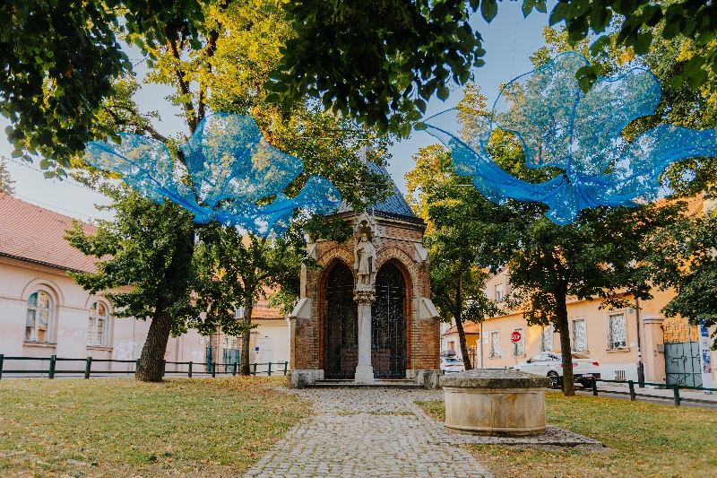 Valovi Ida Blažičko foto Ernest Mazarekić 1