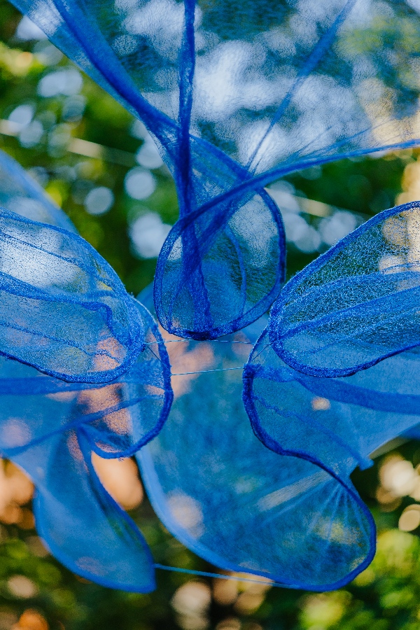 Valovi Ida Blažičko foto Ernest Mazarekić 2