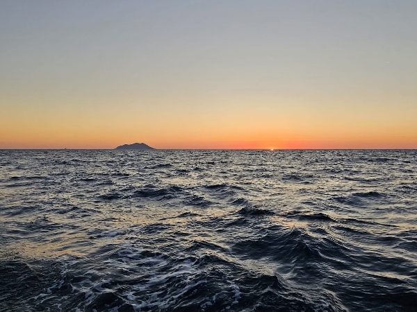 ROMANA STANISLAV 4488