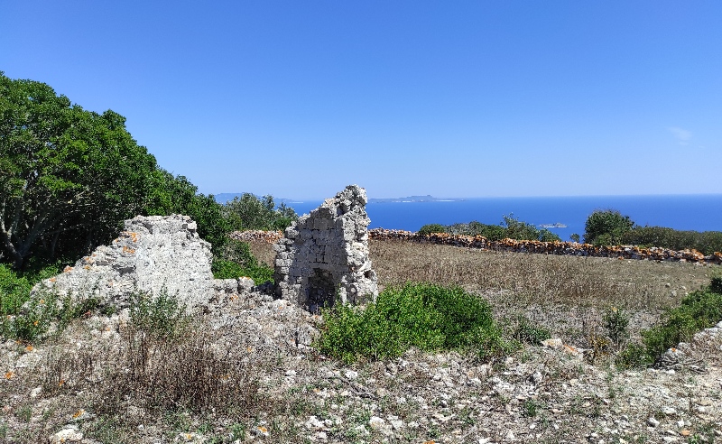 ROMANA STANISLAV 8844