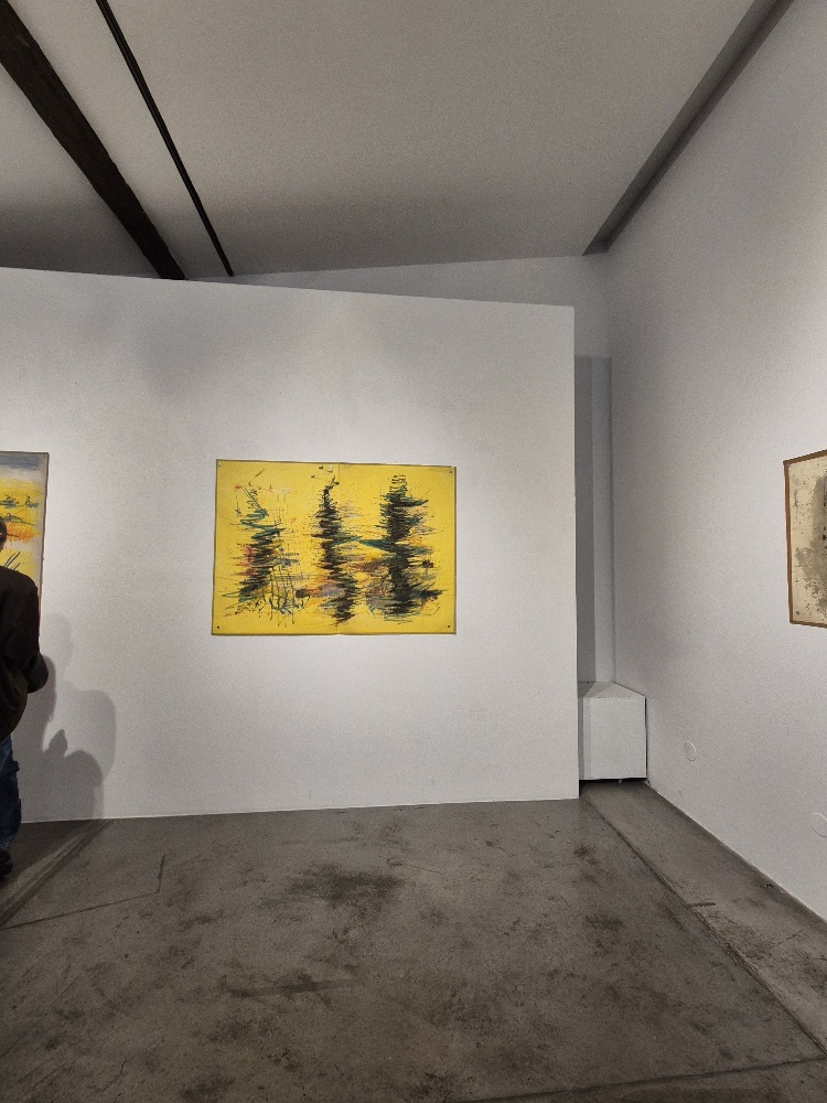 20250403 190700 resized1