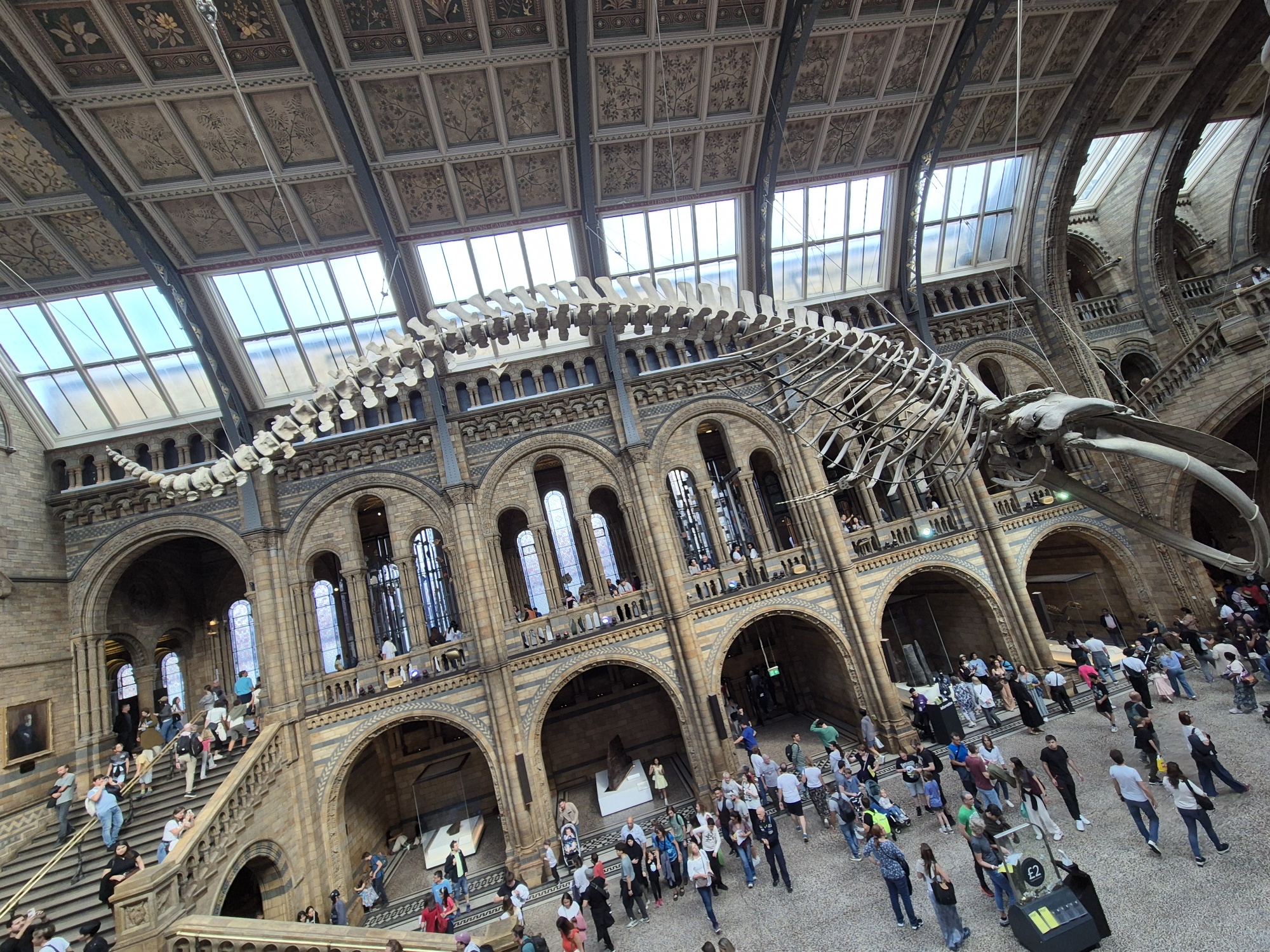 20250821 154030 resized