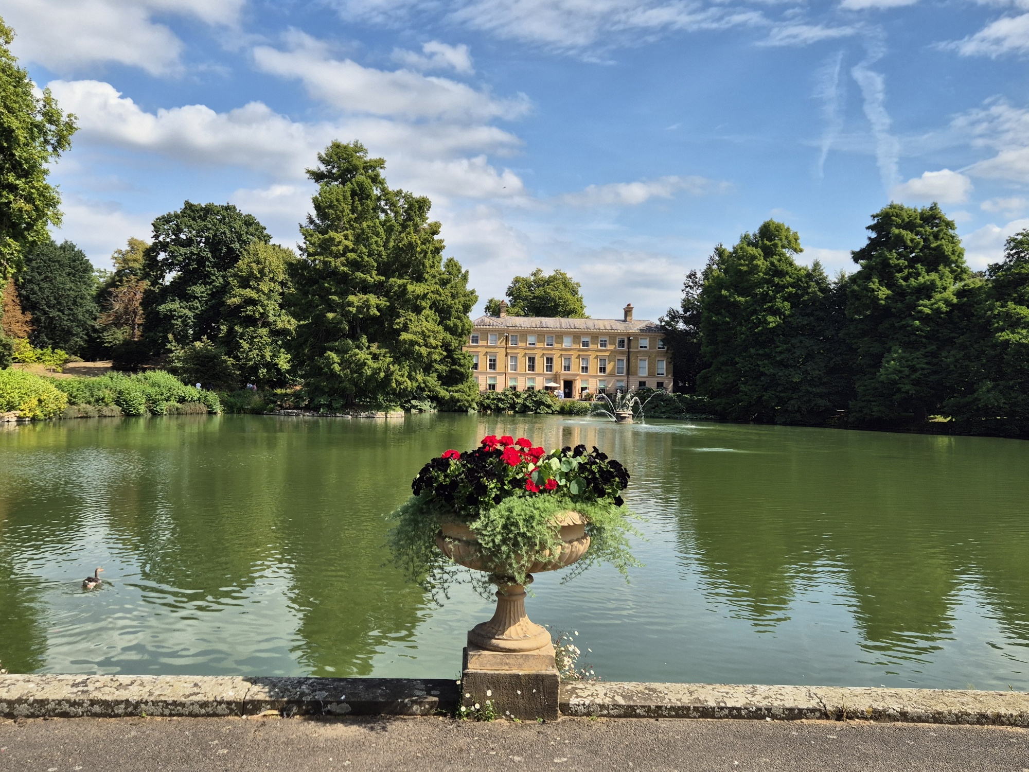 20250823 130456 resized