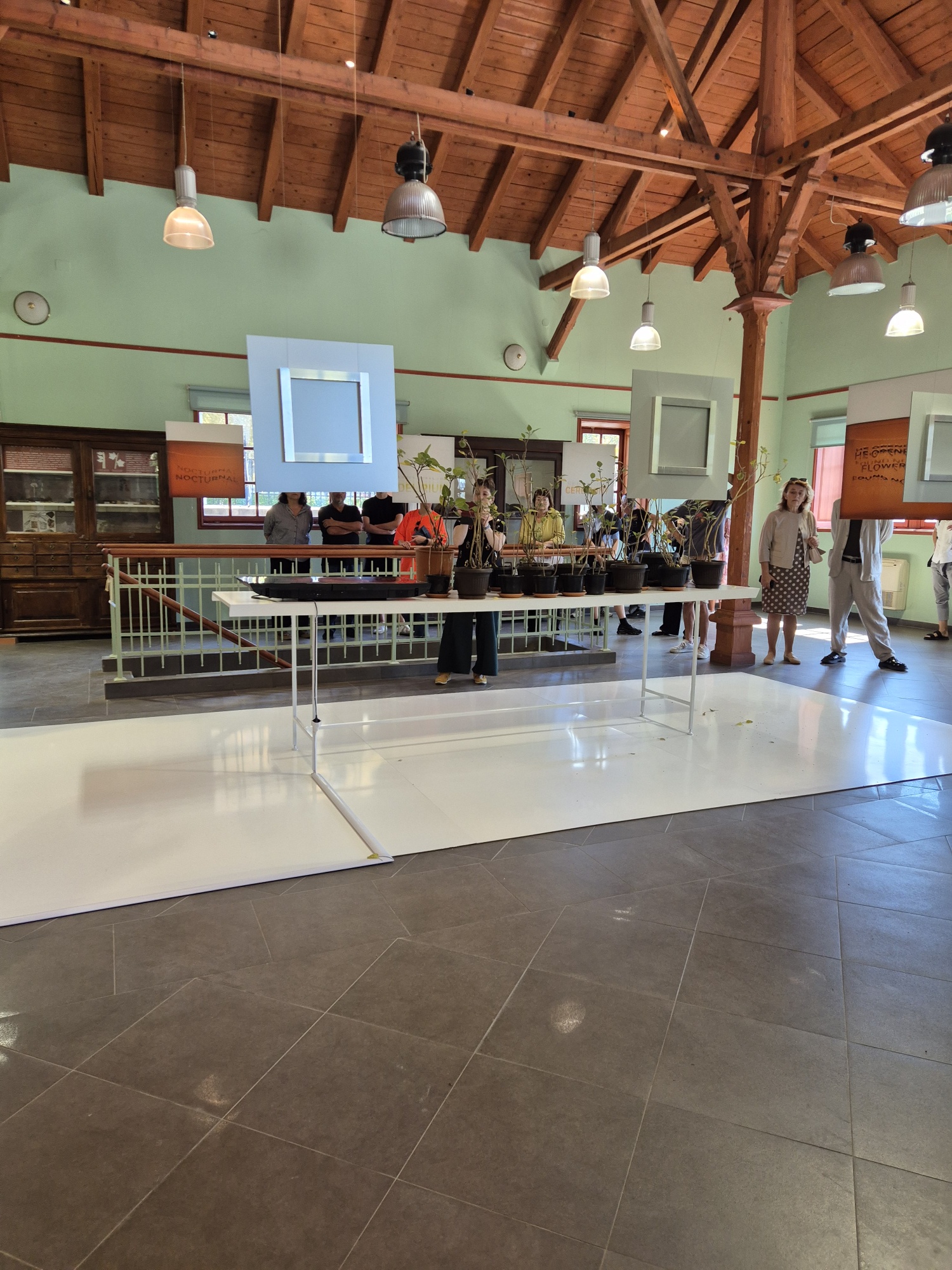 20250920 122733 resized