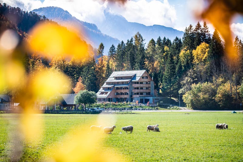 vila planinka PROMO fotografije 8