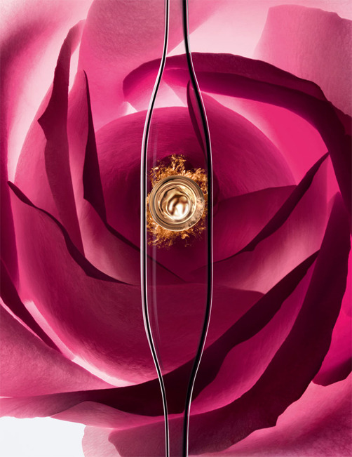 Lancome-2014-Absolue-Yeux-Promo2