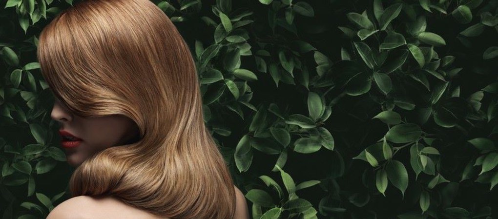les-huiles-phyto-pour-des-cheveux-parfaits