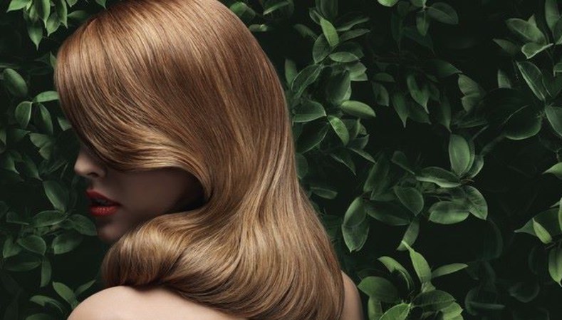 les-huiles-phyto-pour-des-cheveux-parfaits cr