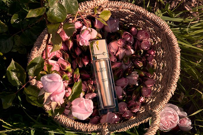 2022 05 31 DIOR ROSERAIE FAYETTE0033