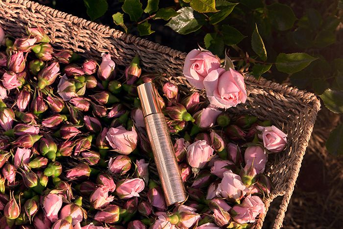 2022 05 31 DIOR ROSERAIE FAYETTE0057