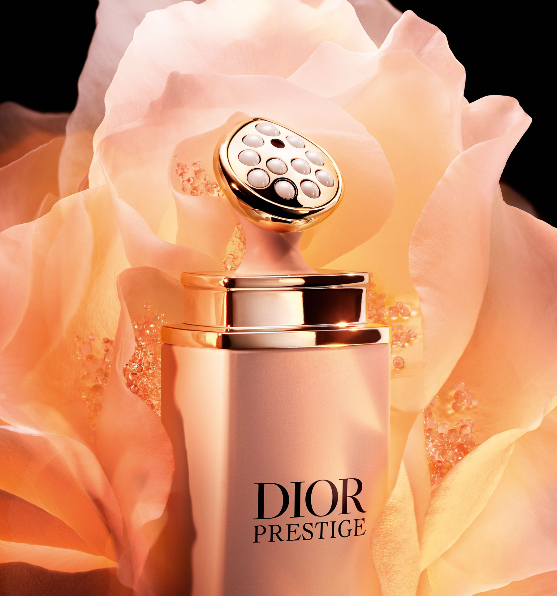 S629 PRESTIGE MSRY FDT 25 P02D SOLO MSRY V05 CROP L4 F39 1