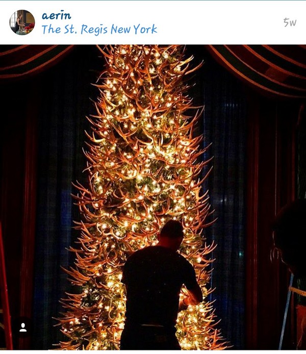 INSTA LIFE AERIN 16