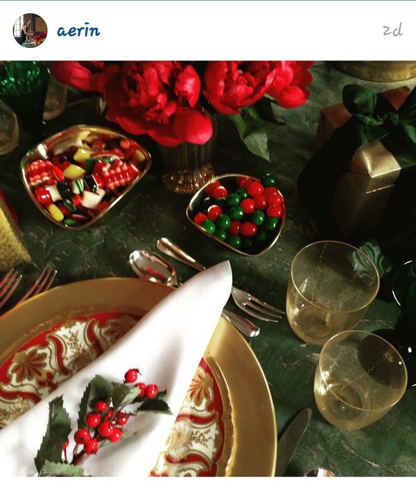 INSTA LIFE AERIN 2