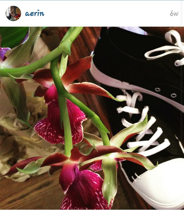 INSTA LIFE AERIN 21