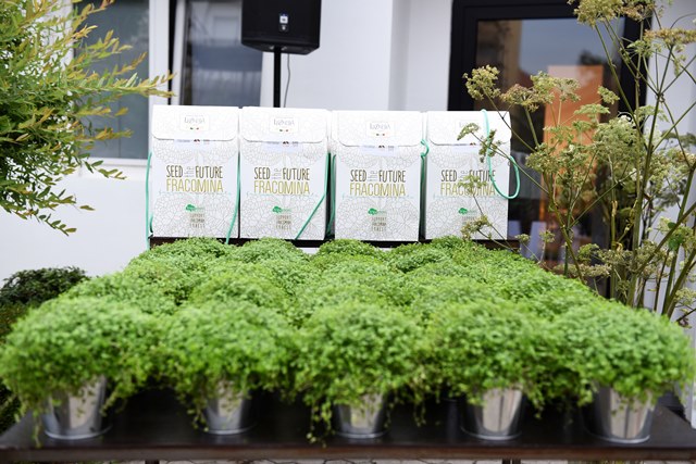Fracomina Seed the future