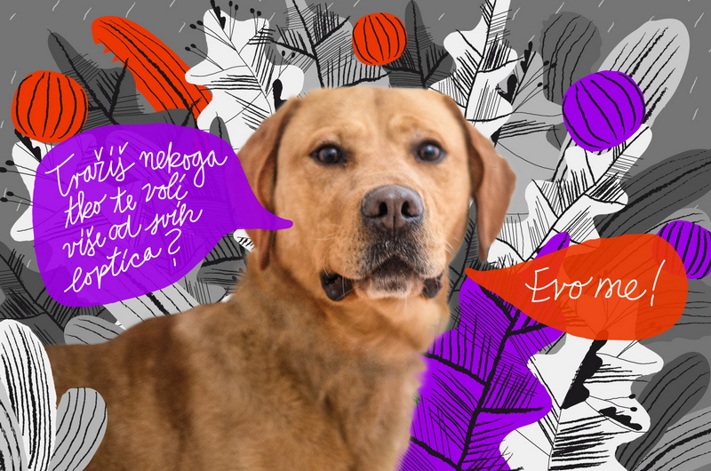 Aspen foto Sanjin Kastelan ilustracija Ana Kovacic 3