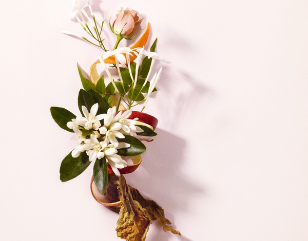 7 cr