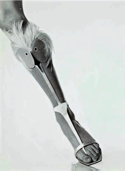 055 roger vivier theredlist