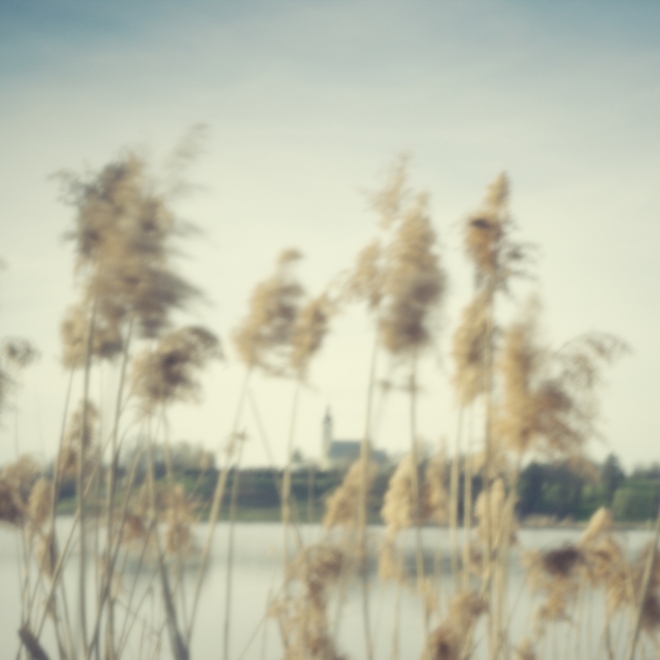 SinisaUstulicaKapelica