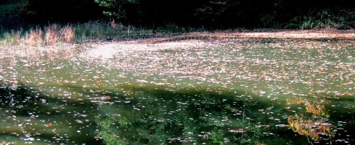 Zagoda REFLEKSIJE 03