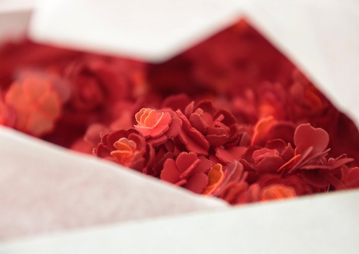 FW 2014-15 HC AMBIANCE PICTURES BY ANNE COMBAZ 016 cr