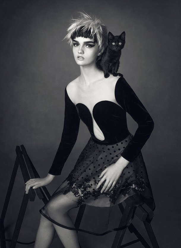 Boudoir DividedBipolarCatDisorder 3 Lowres