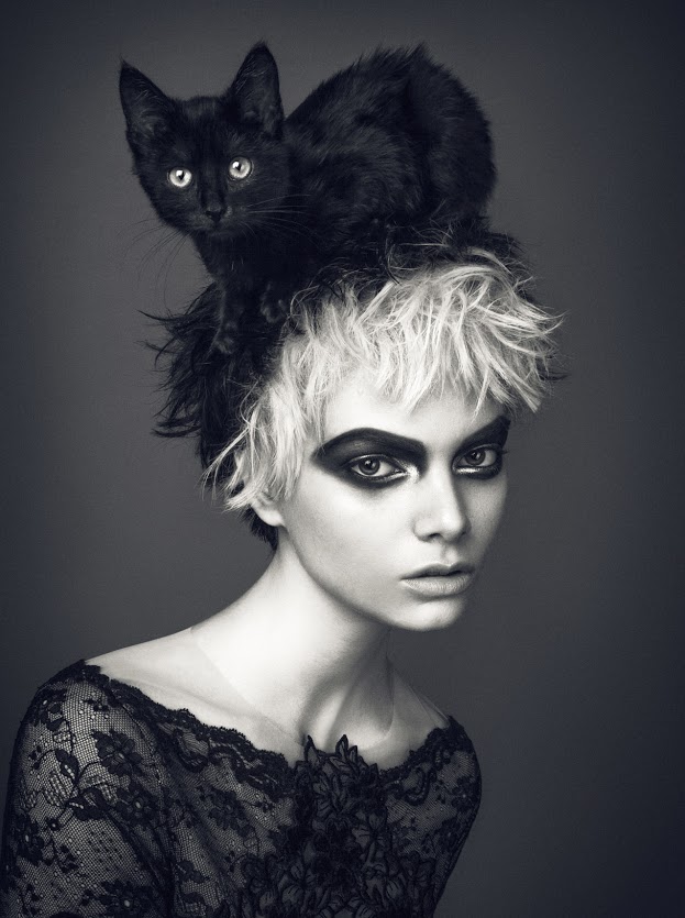 Boudoir DividedBipolarCatDisorder 4 Lowres