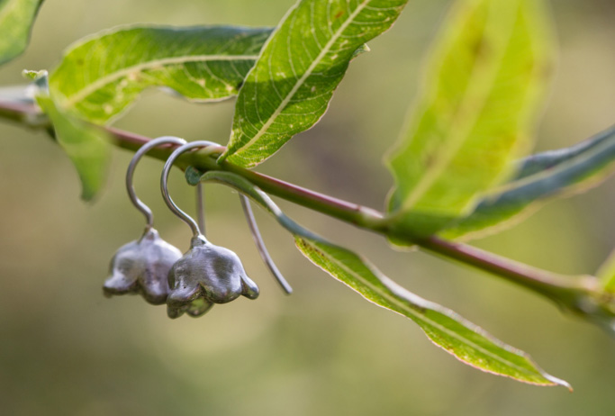 lillyfromthevalleyearrings