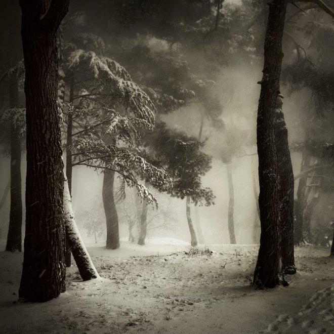 Snow in Porec