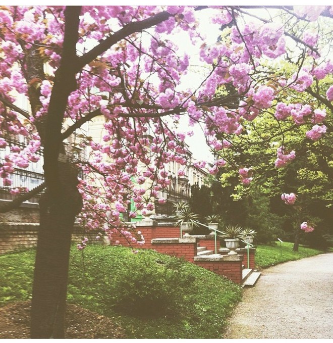 INSTA LIFE BELOWED LIFE 100