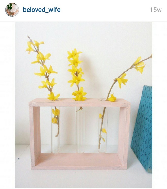 INSTA LIFE BELOWED LIFE 33