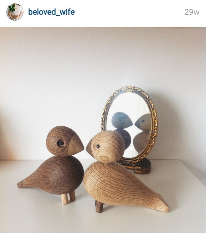 INSTA LIFE BELOWED LIFE 42