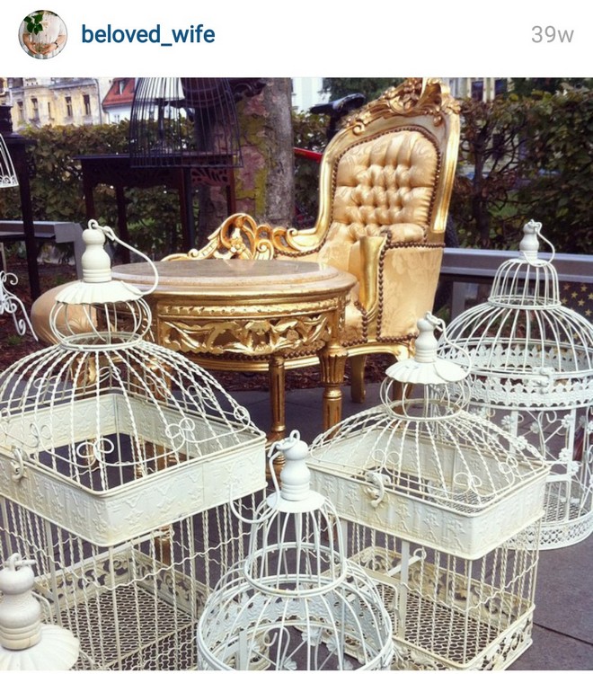 INSTA LIFE BELOWED LIFE 53