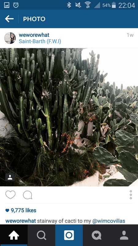 INSTA LIFE WE WORE WHAT 13