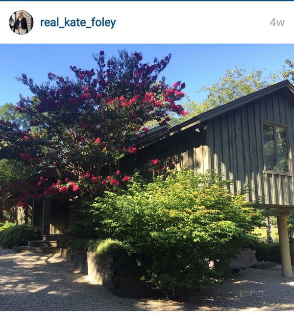 insta life kate foley20